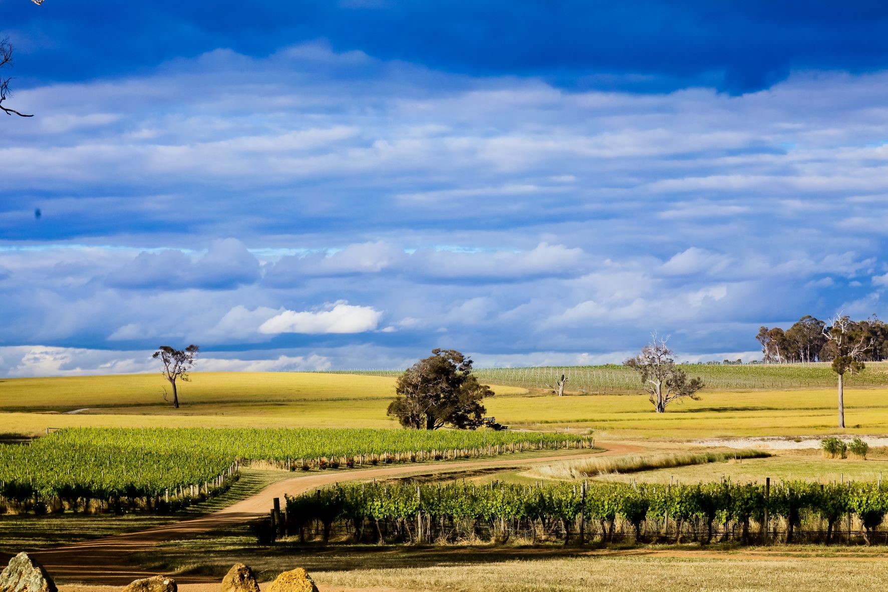 Frankland Estate, Frankland River