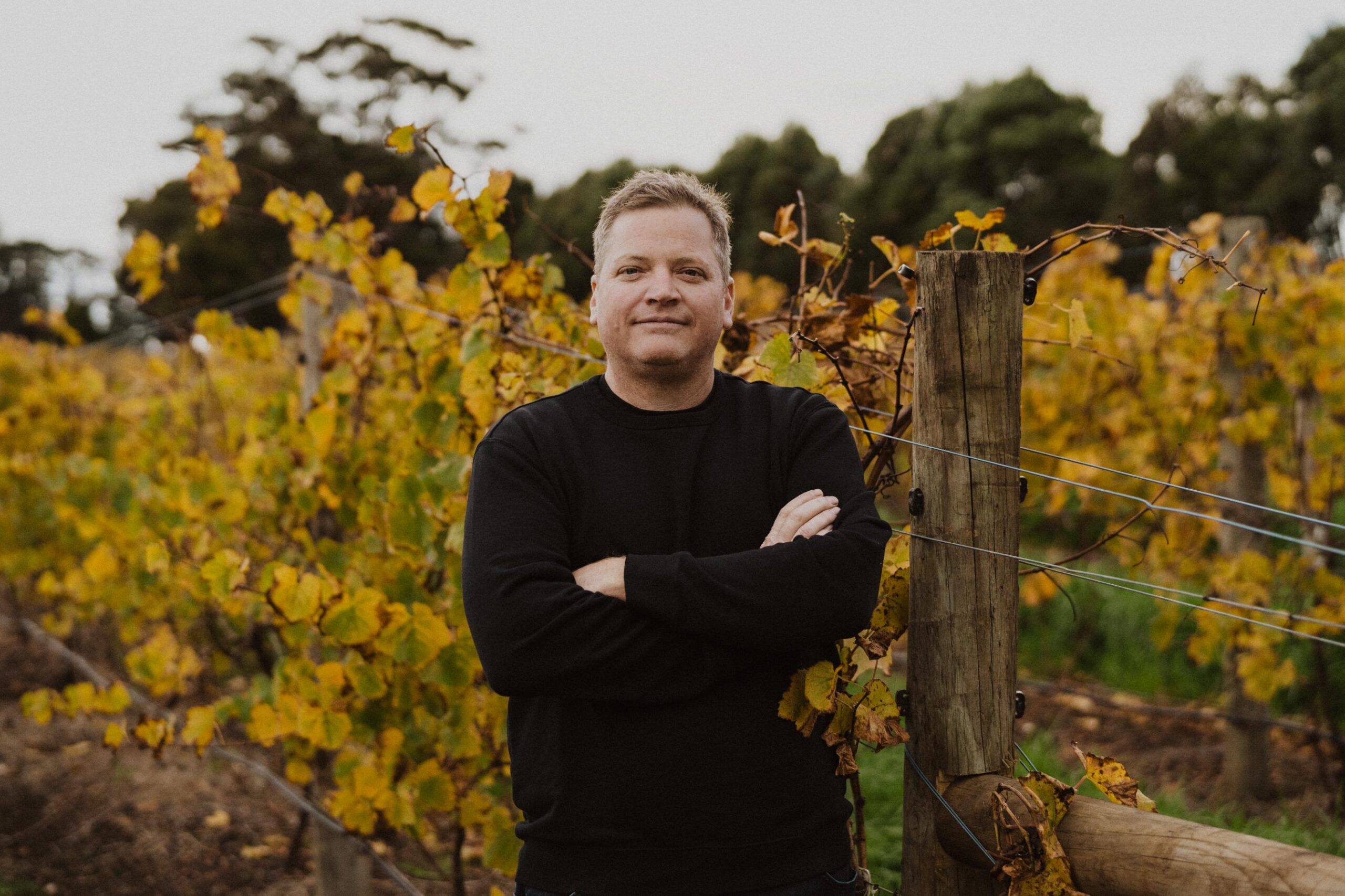 Andrew Vesey, Chief Winemaker Castelli Estate